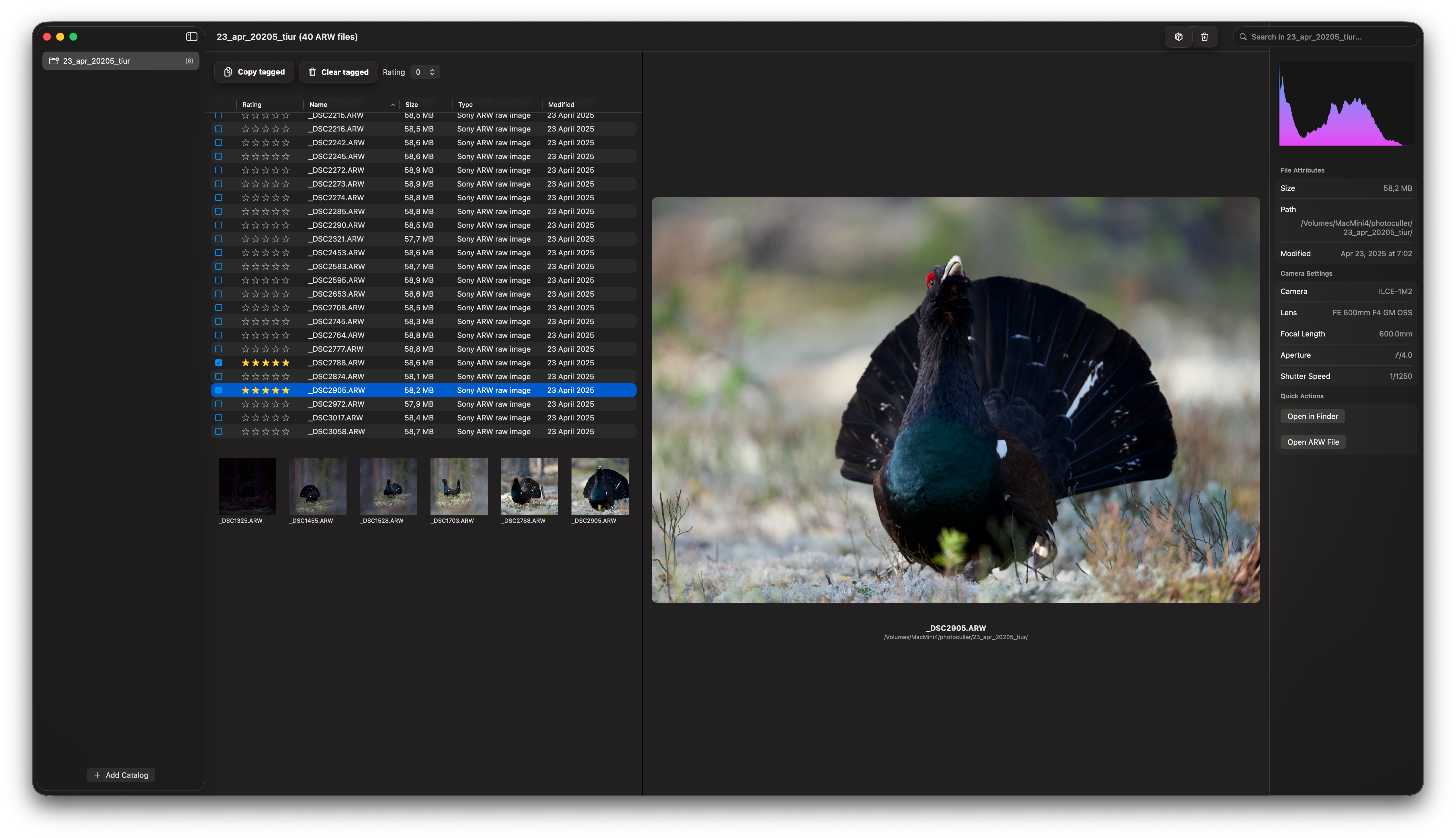 PhotoCulling library after scanning
