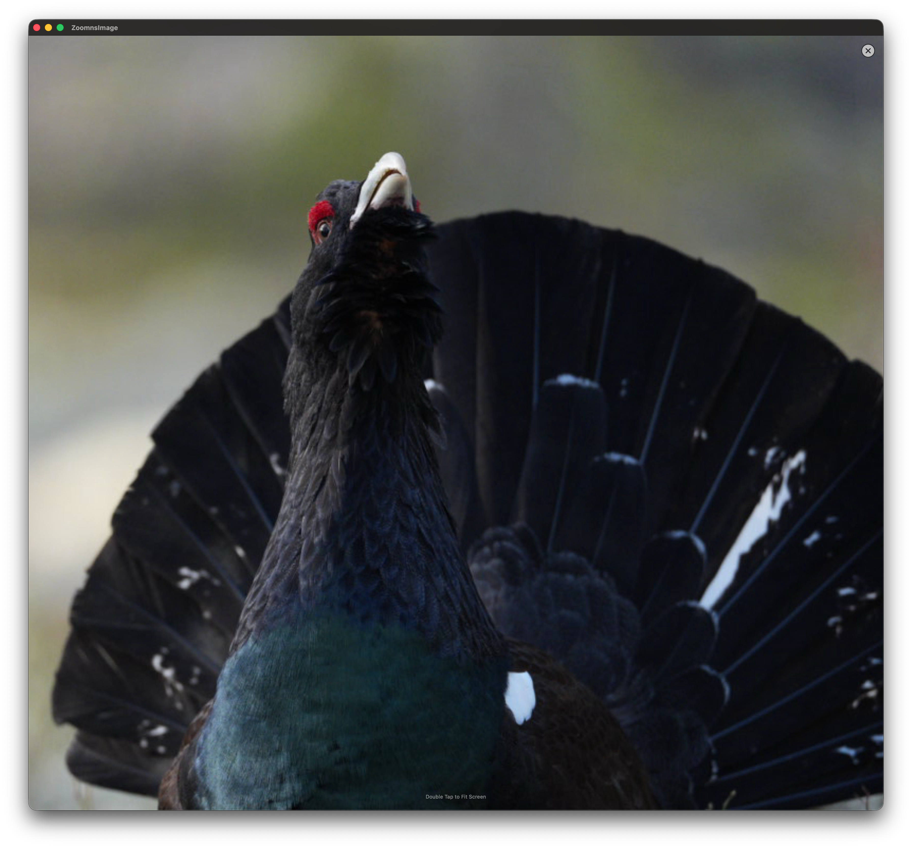 Zoomed detail view for precise inspection